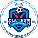 Platinum City